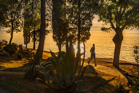 Zonnestralen aan zee bij Aminess Gaia Green Villas Njivice in Kroatië, jogger loopt tussen bomen.