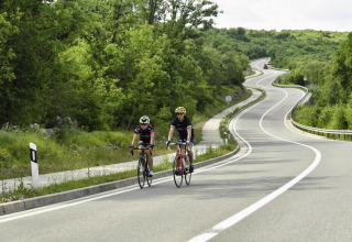 Due ciclisti percorrono una strada tortuosa circondata da verde vicino a Njivice, Croazia.