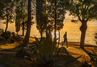 Tramonto sul mare ad Aminess Gaia Green Villas Njivice, Croazia, con un corridore e piante verdi.