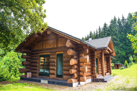 Chalet in tronchi con grandi finestre immerso nel verde, Lomnice nad Popelkou LLB005, Repubblica Ceca.