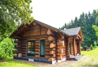 Chalet in tronchi con grandi finestre immerso nel verde, Lomnice nad Popelkou LLB005, Repubblica Ceca.