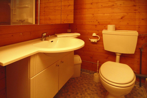 Bathroom with wooden walls, sink, and toilet in a cabin named Log cabin «30 m²» located in Germany.