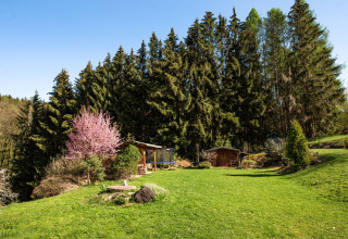 Prato verde, alberi in fiore e chalet in legno vicino alla foresta a Lomnice nad Popelkou, Repubblica Ceca.