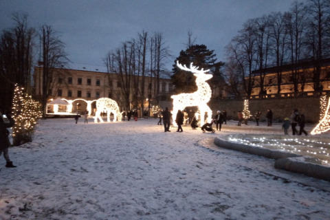 Scena invernale con figure di renne illuminate e persone presso lo chalet Lomnice nad Popelkou LLB005.