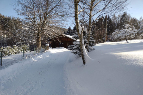 Scena invernale con neve presso lo chalet Lomnice nad Popelkou LLB005 in Repubblica Ceca, fra alberi.