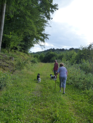 Wandern - Camping Bockenauer Schweiz - Vodatent - Bockenau, Rheinland-Pfalz, Deutschland