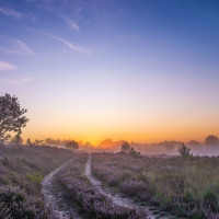 Sonnenaufgang, Nationalpark Hoge Kempen, Belgien