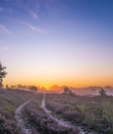 Sonnenaufgang, Nationalpark Hoge Kempen, Belgien