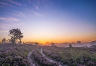 Zonsopgang, Nationaal Park Hoge Kempen, België
