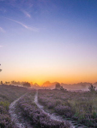 Amanecer, Parque Nacional de Hoge Kempen, Bélgica