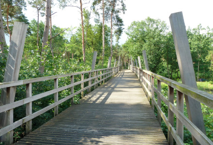 National Park Hoge Kempen, België