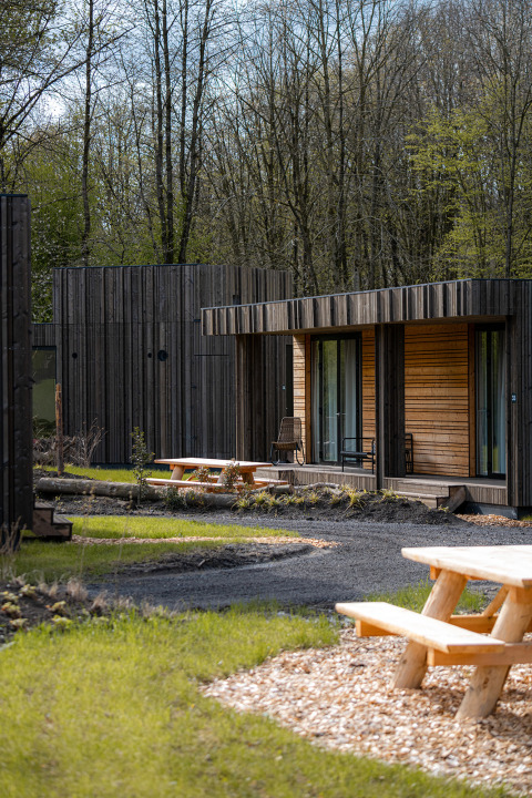 Moderne houten vakantiehuisjes met picknicktafels bij Resort de Parel in het bosrijke Flevoland, Nederland.