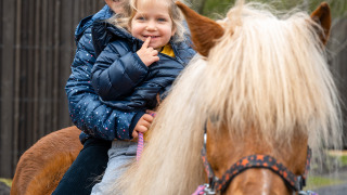 Kinder auf dem Pferderücken - De Parel - Zeewolde, Flevoland, Niederlande