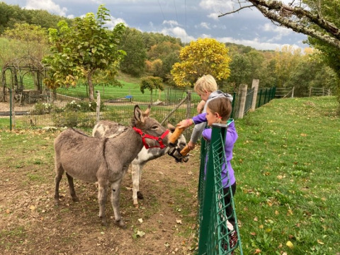 Zoo di animali - Campeggio Fargogne - Vodatent - Puygaillard-de-Quercy, Tarn e Garonne, Francia
