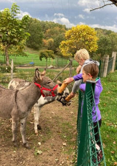 Petting zoo - Fargogne campsite - Vodatent - Puygaillard-de-Quercy, Tarn and Garonne, France