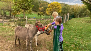 Petting zoo - Fargogne campsite - Vodatent - Puygaillard-de-Quercy, Tarn and Garonne, France