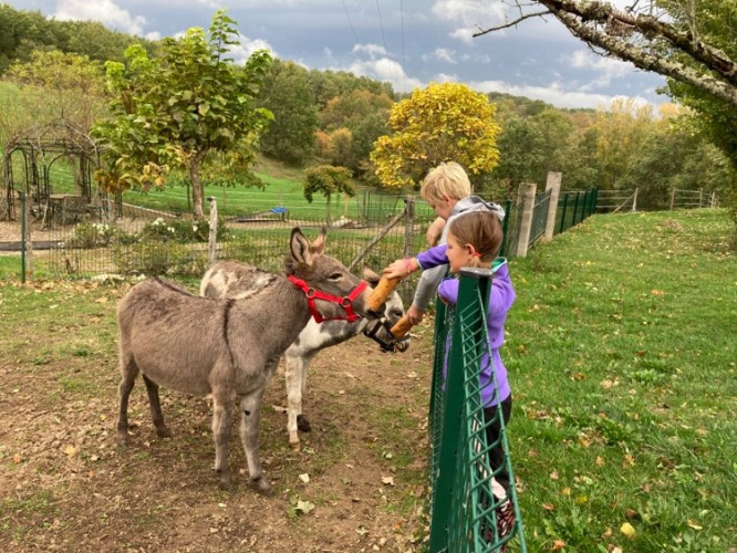 Kinderboerderij - Camping Fargogne - Vodatent - Puygaillard-de-Quercy, Tarn en Garonne, Frankrijk