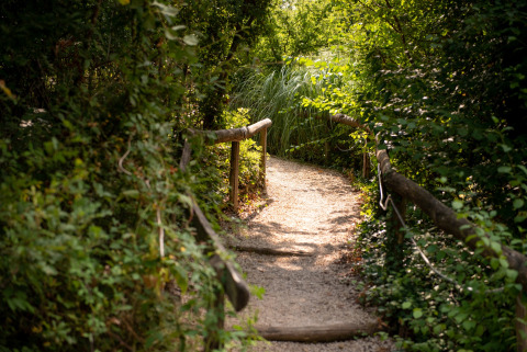 Wanderweg - Campingplatz Fargogne - Vodatent - Puygaillard-de-Quercy, Tarn und Garonne, Frankreich