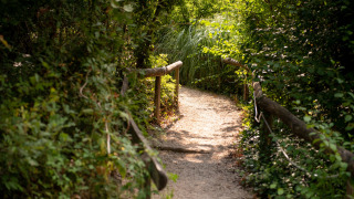 Hiking trail - Camping Fargogne - Vodatent - Puygaillard-de-Quercy, Tarn and Garonne, France