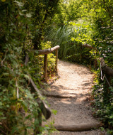 Ruta de senderismo - Camping de Fargogne - Vodatent - Puygaillard-de-Quercy, Tarn y Garona, Francia