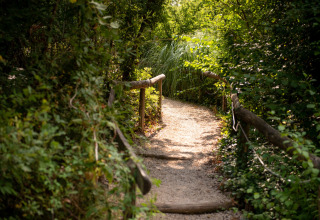 Hiking trail - Camping Fargogne - Vodatent - Puygaillard-de-Quercy, Tarn and Garonne, France