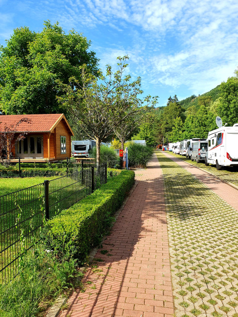 Aperçu du parc - Vodatent - Camping Vallée de L_Our - Untereisenbach - Vianden - Luxembourg