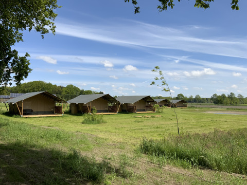 Safari-Zelte - Voda-Tent - Camping de Heerlijkheid Vorenseinde - Rucphen - Noord-Brabant - Niederlande