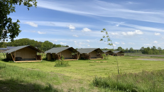 Safari tents - Vodatent - Camping de Heerlijkheid Vorenseinde - Rucphen - Noord-Brabant - Netherlands