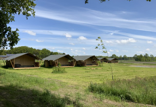 Glampingtenten op een ruime, groene camping bij Camping de Heerlijkheid Vorenseinde in Noord-Brabant, Nederland.