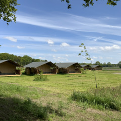 Safari-Zelte - Voda-Tent - Camping de Heerlijkheid Vorenseinde - Rucphen - Noord-Brabant - Niederlande