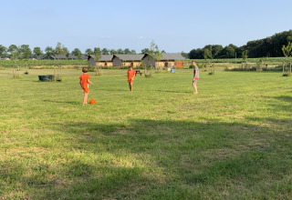 Campo de juego - Vodatent - Camping de Heerlijkheid Vorenseinde - Rucphen - Noord-Brabant - Países Bajos