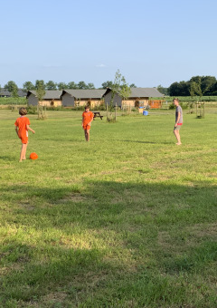 Spielfeld - Vodatent - Camping de Heerlijkheid Vorenseinde - Rucphen - Noord-Brabant - Niederlande