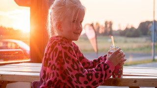 Catering - Vodatent - Camping de Tolbrug - Bergharen - Güeldres - Países Bajos