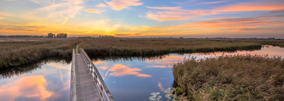 Ponte di legno per biciclette, Groninga, Paesi Bassi