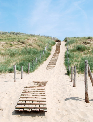 Dunes, Zeeland, Netherlands