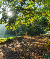 Ruta de senderismo cerca de Nimega, Güeldres, Países Bajos