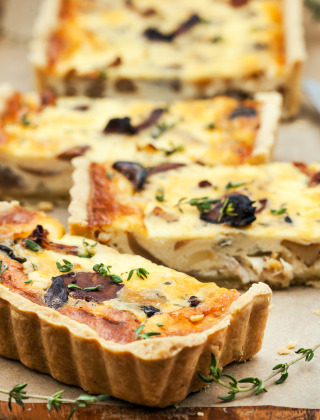 Quiche-Vodatent-Domaine-La-Sauzette-Palaja-Aude-France