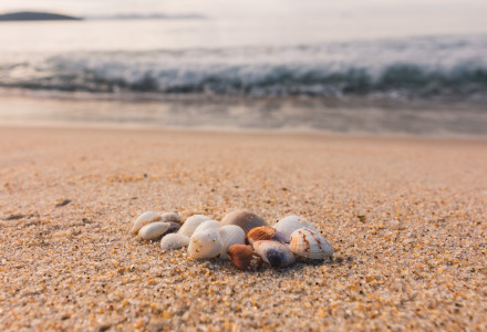 Playa-Vodatent-Domaine-La-Sauzette-Palaya-Aude-France
