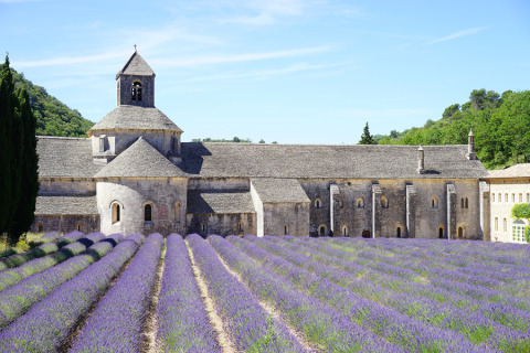 Abbazia in Provenza con campi di lavanda in fiore davanti, vicino al campeggio La Vallée Heureuse.