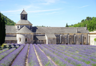 Abbey in Provence surrounded by blooming lavender fields, pictured at La Vallée Heureuse holiday park.