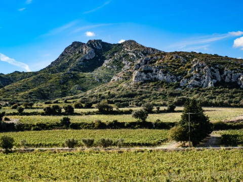 Mountainous landscape with vineyards near Orgon in Provence-Alpes-Côte d’Azur, France, under a blue sky.
