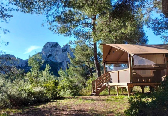 Tenda safari Premium Lodge tra i pini con vista sulle montagne e cielo azzurro, ideale per un soggiorno nella natura.