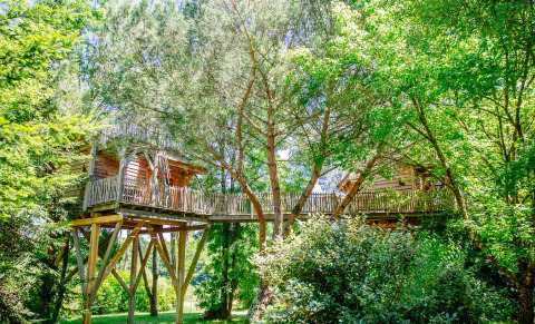 Stilted treehouse nestled in lush green trees at Domaine EcÔtelia holiday park, Nouvelle-Aquitaine, France.