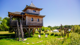 Boomhut Log cabin Temple perché met spa, omgeven door natuur en blauwe lucht in het zonlicht.