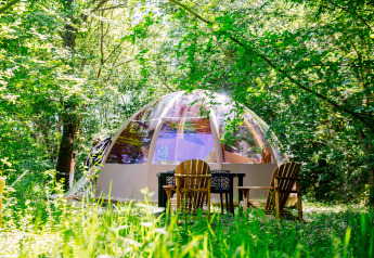 Safari tent called Bubbel with a clear dome set in lush greenery, wooden chairs and a table outside.