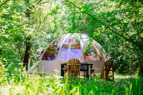 Tente safari Bubbel sous dôme transparent entourée de verdure avec chaises en bois et table dehors.