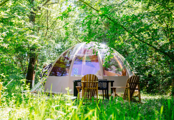 Tente safari Bubbel sous dôme transparent entourée de verdure avec chaises en bois et table dehors.
