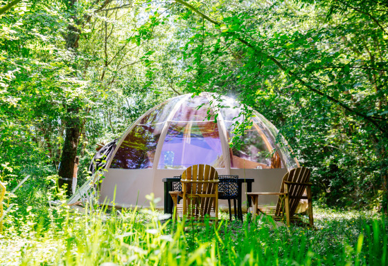 Tente safari Bubbel sous dôme transparent entourée de verdure avec chaises en bois et table dehors.