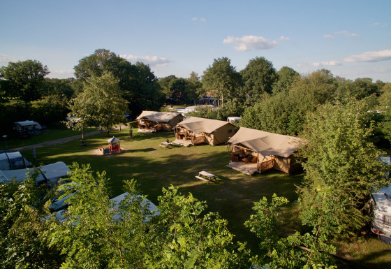 Vue aérienne de la tente safari Appelgaard sur un camping vert entouré d’arbres sous un ciel bleu clair.