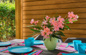Mesa exterior con jarrón de flores rosas, vajilla azul y manteles de colores junto a una casa móvil en Francia.